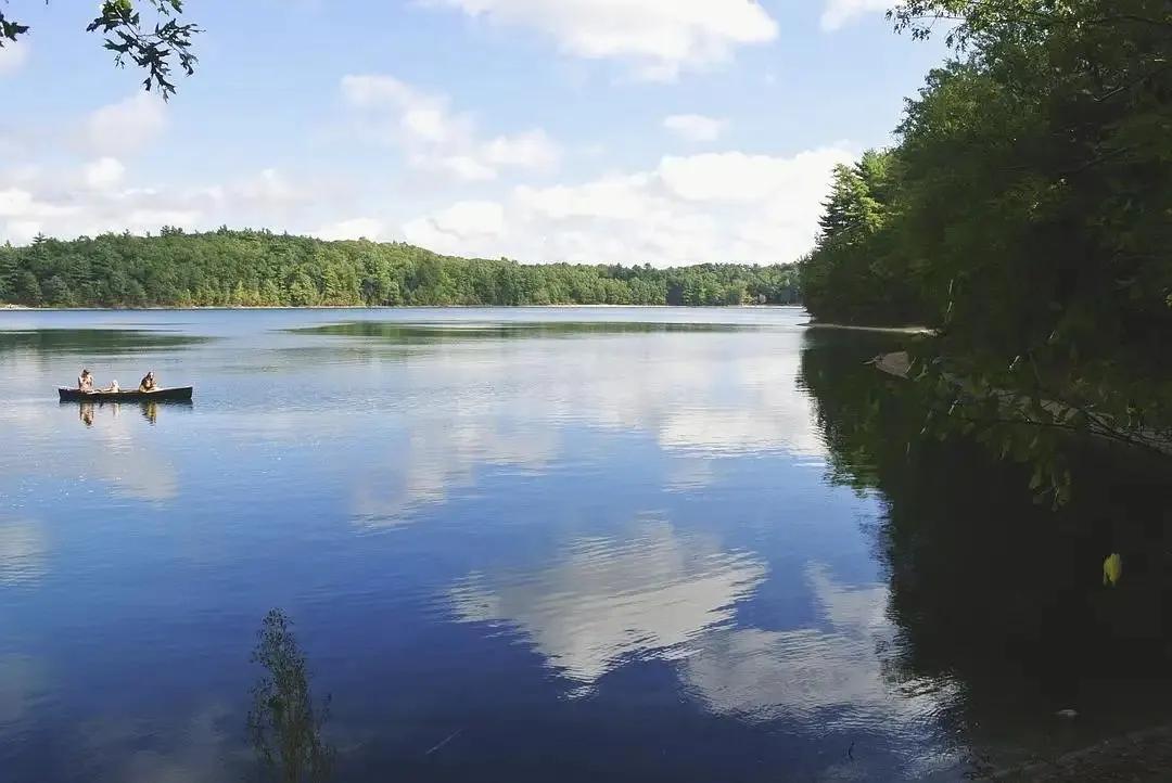 1703467986174122.jpg cc15a9b5319d68dc00763457f3bd0d1.jpg